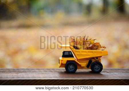 The Concept Of Seasonal Harvesting Of Autumn Fallen Leaves Is Depicted In The Form Of A Toy Yellow T
