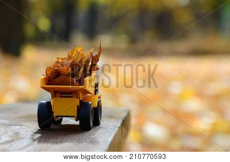 The Concept Of Seasonal Harvesting Of Autumn Fallen Leaves Is Depicted In The Form Of A Toy Yellow T