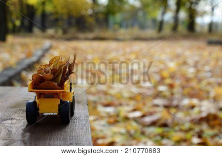 The Concept Of Seasonal Harvesting Of Autumn Fallen Leaves Is Depicted In The Form Of A Toy Yellow T