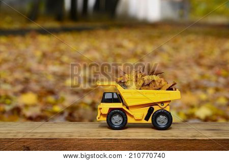 The Concept Of Seasonal Harvesting Of Autumn Fallen Leaves Is Depicted In The Form Of A Toy Yellow T