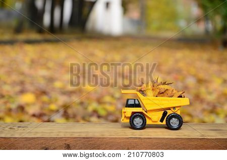A Small Toy Yellow Truck Is Loaded With Yellow Fallen Leaves. The Car Stands On A Wooden Surface Aga