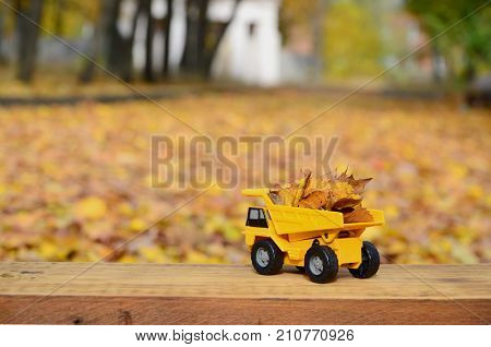 The Concept Of Seasonal Harvesting Of Autumn Fallen Leaves Is Depicted In The Form Of A Toy Yellow T