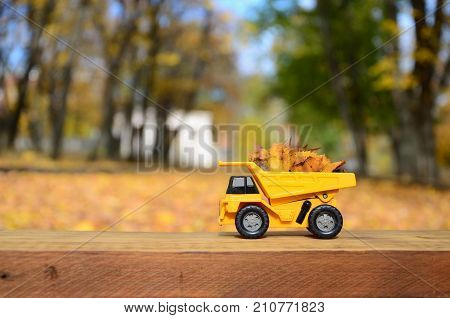 A Small Toy Yellow Truck Is Loaded With Yellow Fallen Leaves. The Car Stands On A Wooden Surface Aga