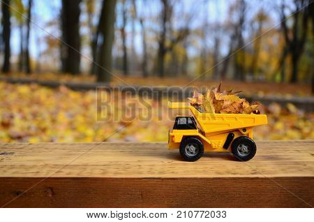 The Concept Of Seasonal Harvesting Of Autumn Fallen Leaves Is Depicted In The Form Of A Toy Yellow T