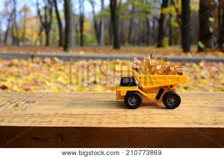 A Small Toy Yellow Truck Is Loaded With Yellow Fallen Leaves. The Car Stands On A Wooden Surface Aga