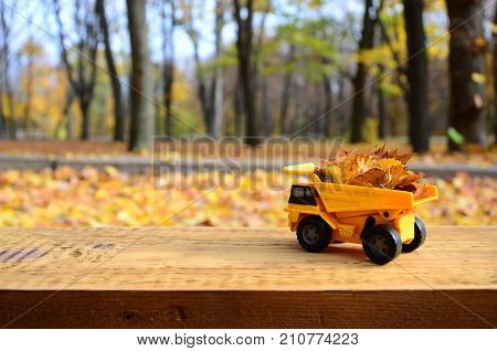 The Concept Of Seasonal Harvesting Of Autumn Fallen Leaves Is Depicted In The Form Of A Toy Yellow T