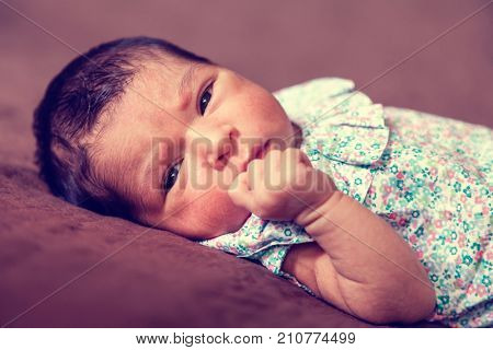 Close up portrait of a cute two weeks old newborn baby girl lying down, eyes open and looking around wearing a floral dress