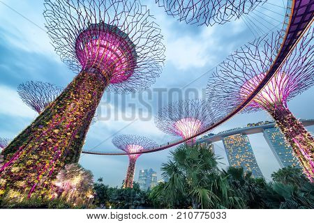 SINGAPORE- April 25: Night view of The Supertree Grove at Gardens by the Bay on April 25, 2015 in Singapore. Spanning 101 hectares, and five-minute walk from Bayfront MRT Station.