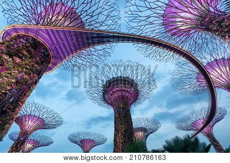 SINGAPORE- April 25: Night view of The Supertree Grove at Gardens by the Bay on April 25, 2015 in Singapore. Spanning 101 hectares, and five-minute walk from Bayfront MRT Station.