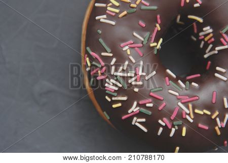 Half of chocolate donut isolated on gray