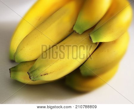 BUNCH OF FRESH RIPE BANANAS ON WHITE BACKGROUND