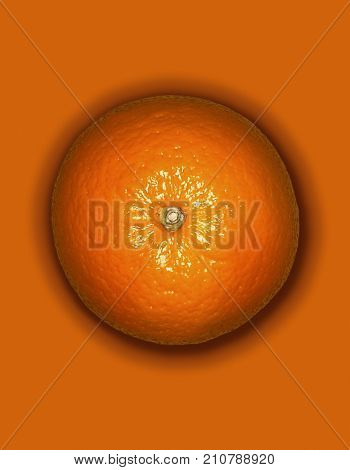 GRAPHIC IMAGE OF ORANGE ON ORANGE BACKGROUND
