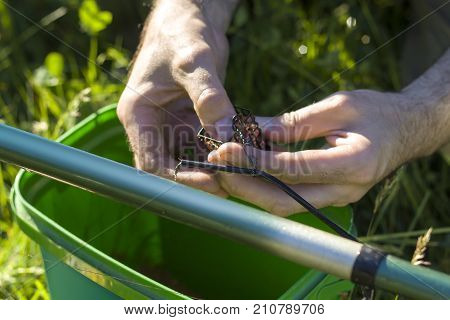 The angler's hands put the bait in the groundbait box
