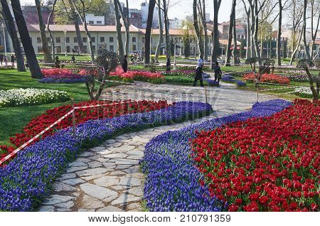 Istanbul Turkey - April 06 2016 Annual Spring Festival of Tulips new design Gulhane Park local people and tourists are getting rest making photos and enjoy good weather and spring slice of life editorial.