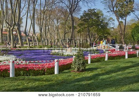 Istanbul Turkey - April 06 2016 Annual Spring Festival of Tulips new design Gulhane Park local people and tourists are getting rest making photos and enjoy good weather and spring slice of life editorial.