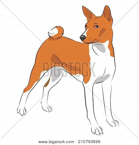 Yellow dog, the symbol of the new year