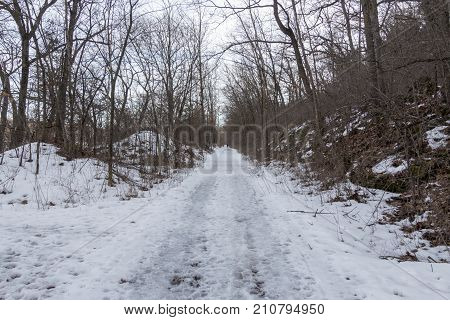Looking down the hiking trail of Afton State Park in Minnesota.