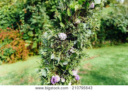 Place for wedding ceremony with white chairs and an arch of living plants