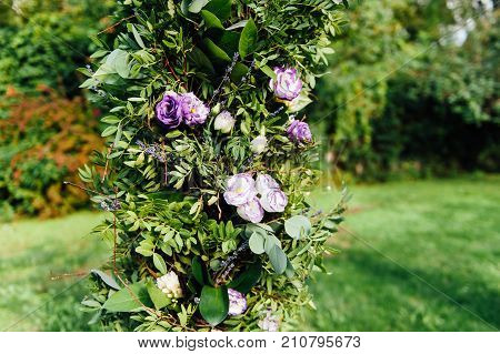 Place for wedding ceremony with white chairs and an arch of living plants