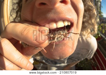 man feeding on bug, fisheye close up. Concept of new alternative food and new protein source.
