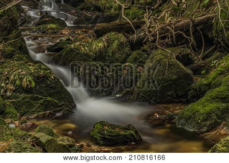 Javori Creek In Krkonose Mountains National Park In Autumn Color Day