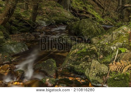 Javori Creek In Krkonose Mountains National Park In Autumn Color Day