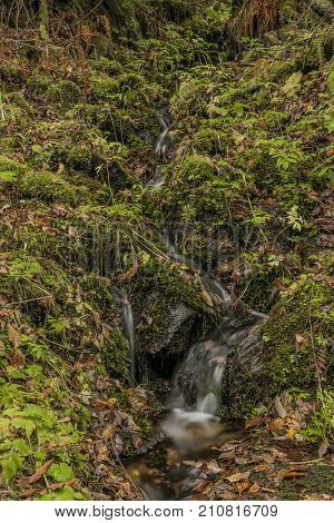Small creek in Krkonose national park in autumn time near Cerny Dul village