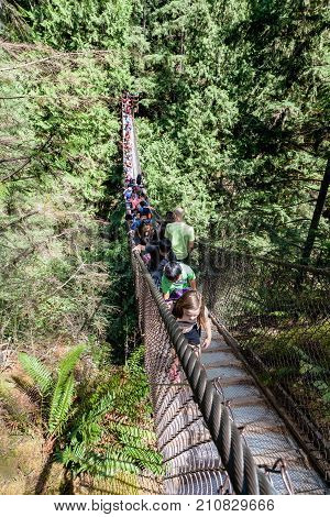 Lynn Canyon Suspension Bridge