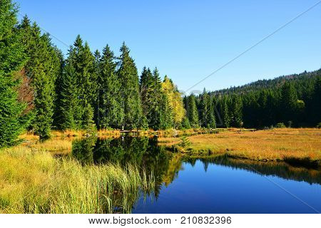 Moraine lake Kleiner Arbersee in National park Bavarian forest. Autumn landscape in Germany.
