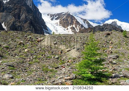 View On Glacier Aktru. Altai Republic. Russia