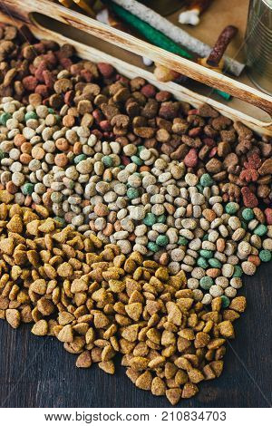 Cat and dog dry food on table