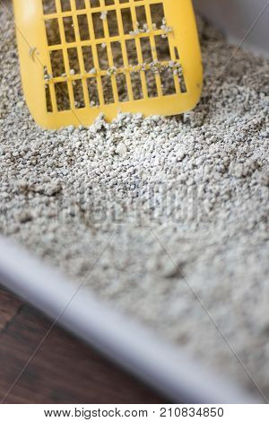 Yellow scoop standing on the litter sand on the litterbox