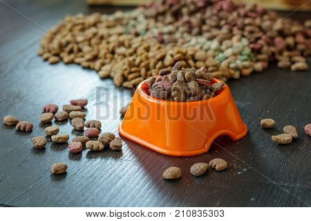 Pet food in bowl for cat and dog