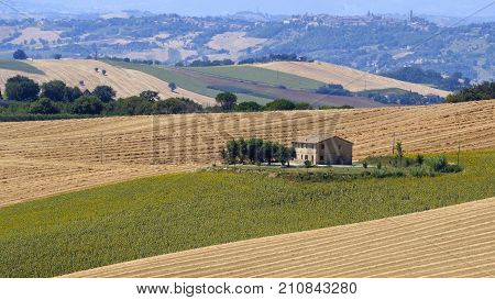 Rural landscape along the road from Appignano to Montecassiano (Ancona Marches Italy) at summer.