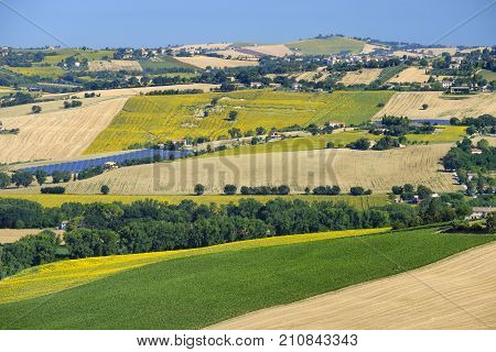 Rural landscape along the road from Filottrano to Appignano (Ancona Marches Italy) at summer.