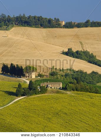 Rural landscape along the road from Filottrano to Appignano (Ancona Marches Italy) at summer.