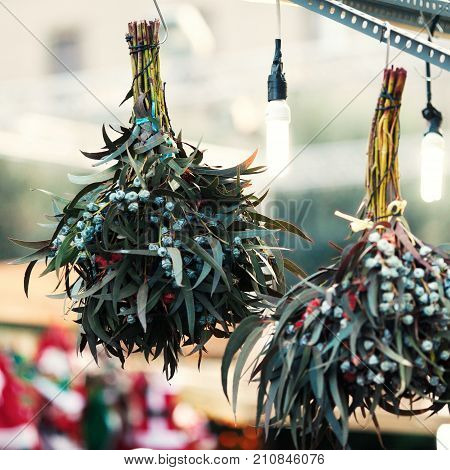Christmas decorations on the market. Christmas mistletoe plant bunch as Christmas symbol hanging on market in Europe. Omela
