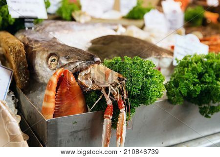 Freshly Caught Sea Fishes, Lobster And Other Seafood