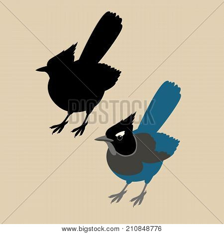 jay bird vector illustration style flat black silhouette set
