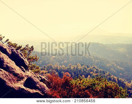 Hilly Horizon, Deep Forest Gulch Full Of Gentle Fog And Sun Is Hidden In Heavy Mist