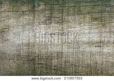 Old wood texture or wooden background. Copy space