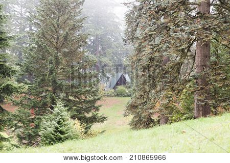 A-frame Structure In Foggy Forest