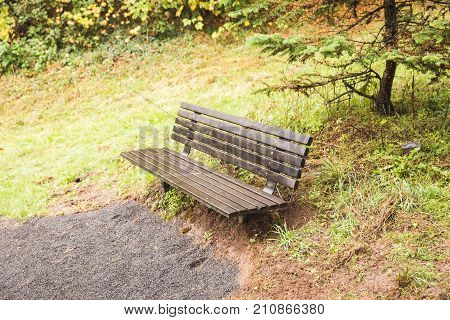 Empty Bench In Forest Park