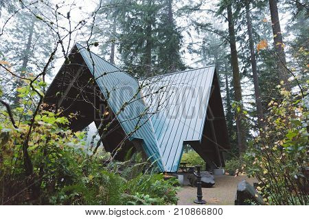 Angular structure with steep roof in foggy forest park.