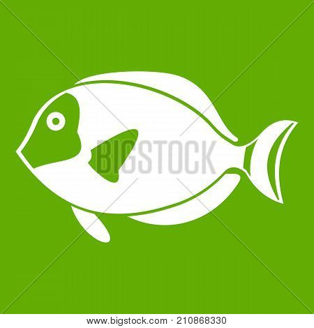 Surgeon fish icon white isolated on green background. Vector illustration
