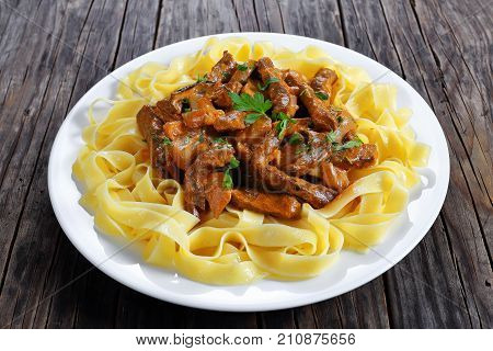 Tasty Pasta With Beef Stroganoff Stew