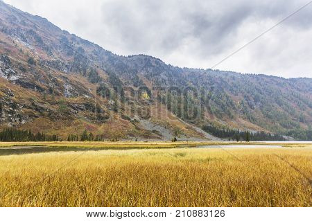 Multa River Valley. Altai Mountains Autumn Landscape.