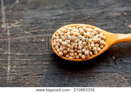 Close up wooden spoon with white peppercorn on dark background