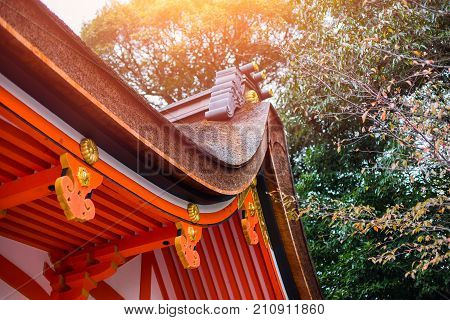 Japan Style Shrine Red Roof Temple Closeup Rood With Autumn Season Maple Tree