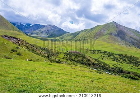 View Over Valley From The Horse Back, Kyrgyzstan
